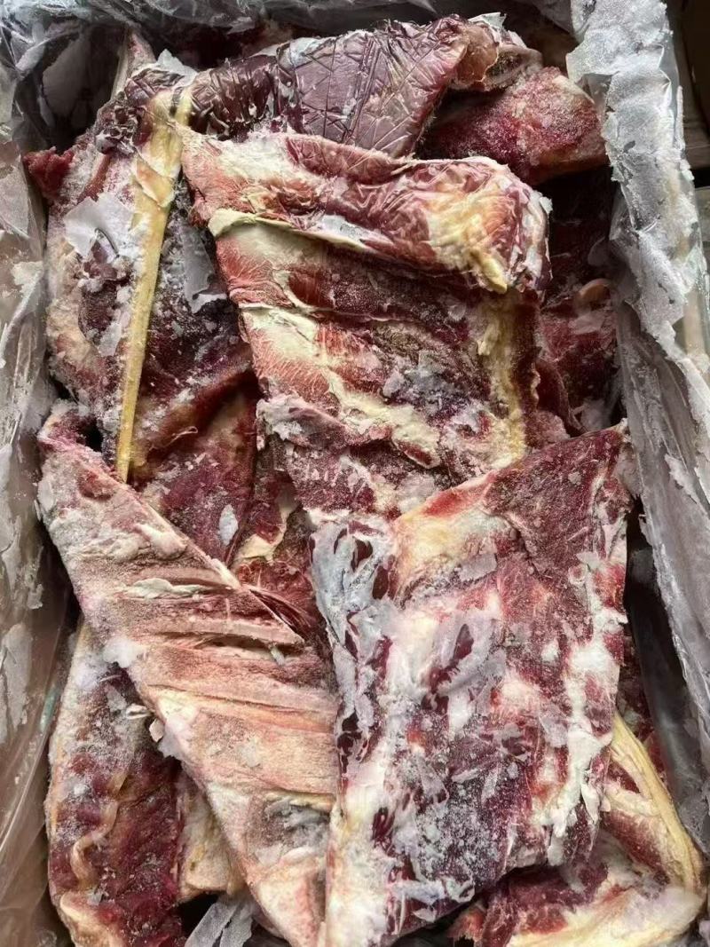 牛羽骨