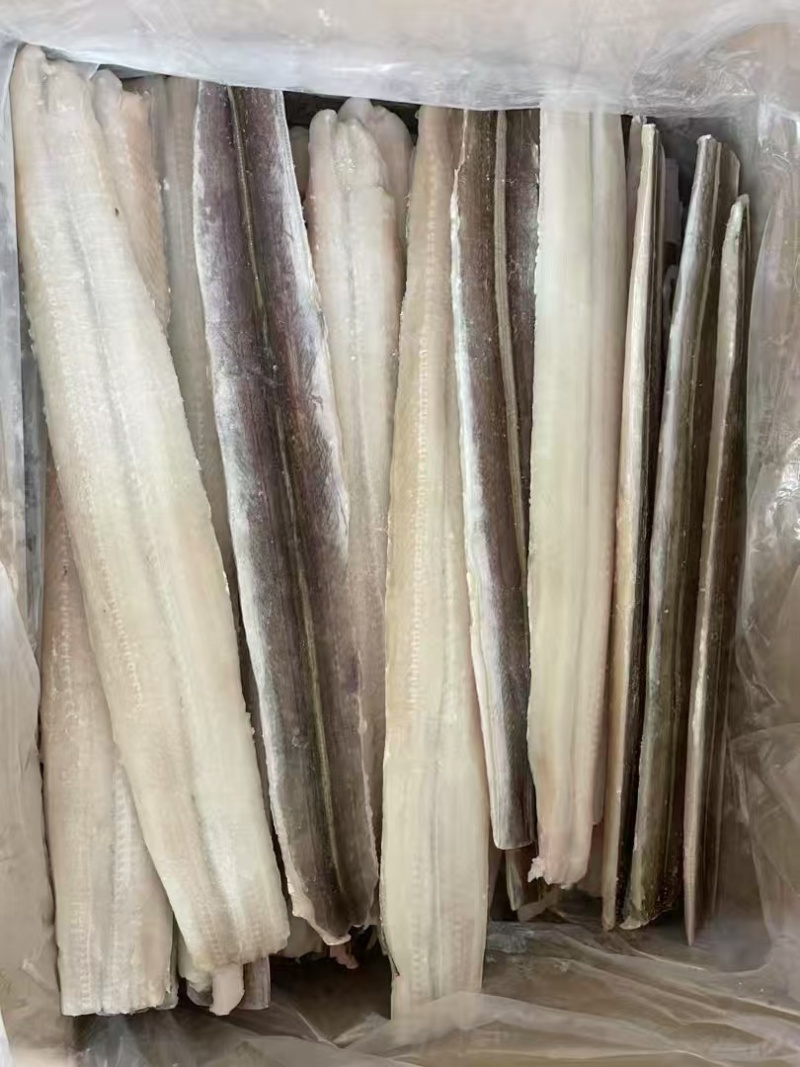 海鳗鱼片，工厂直销