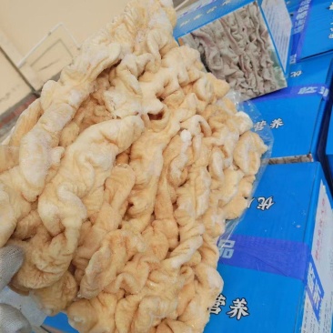 纯干一级八成熟大肠