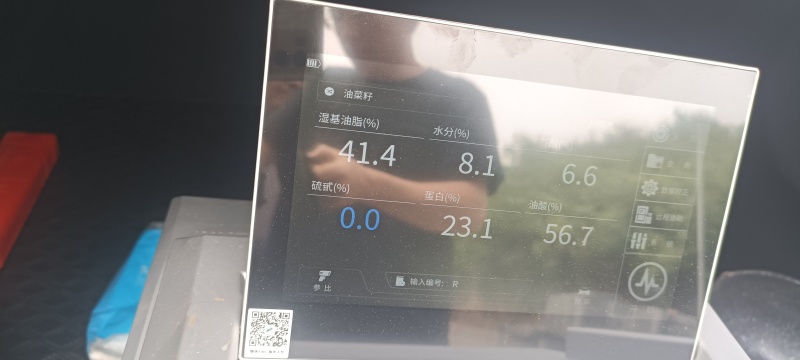 25年的高含油油菜籽，出油率高，油色漂亮，大量现货