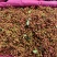 【每日推荐】陕西渭南鲜青花椒产地直发品无虫干净大颗粒