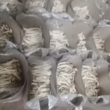 新鲜茶树菇一件（净重31斤）起批