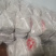 新鲜茶树菇一件（净重31斤）起批