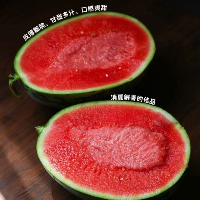 连云港8424美都西瓜，产地直发，一手货源，品质保证