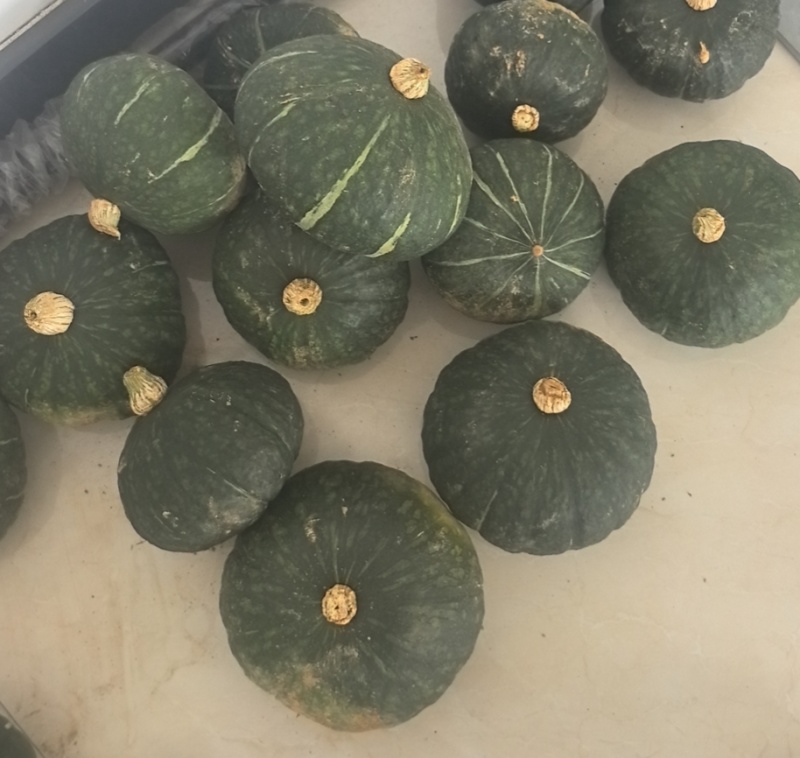江西贝贝南瓜包粉包甜