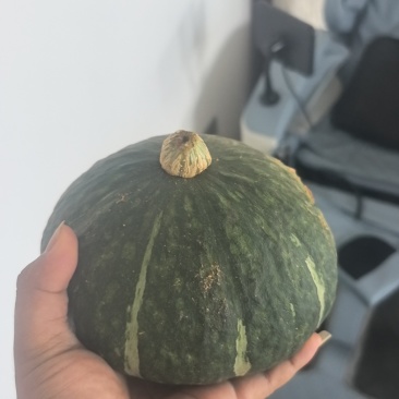 江西贝贝南瓜包粉包甜