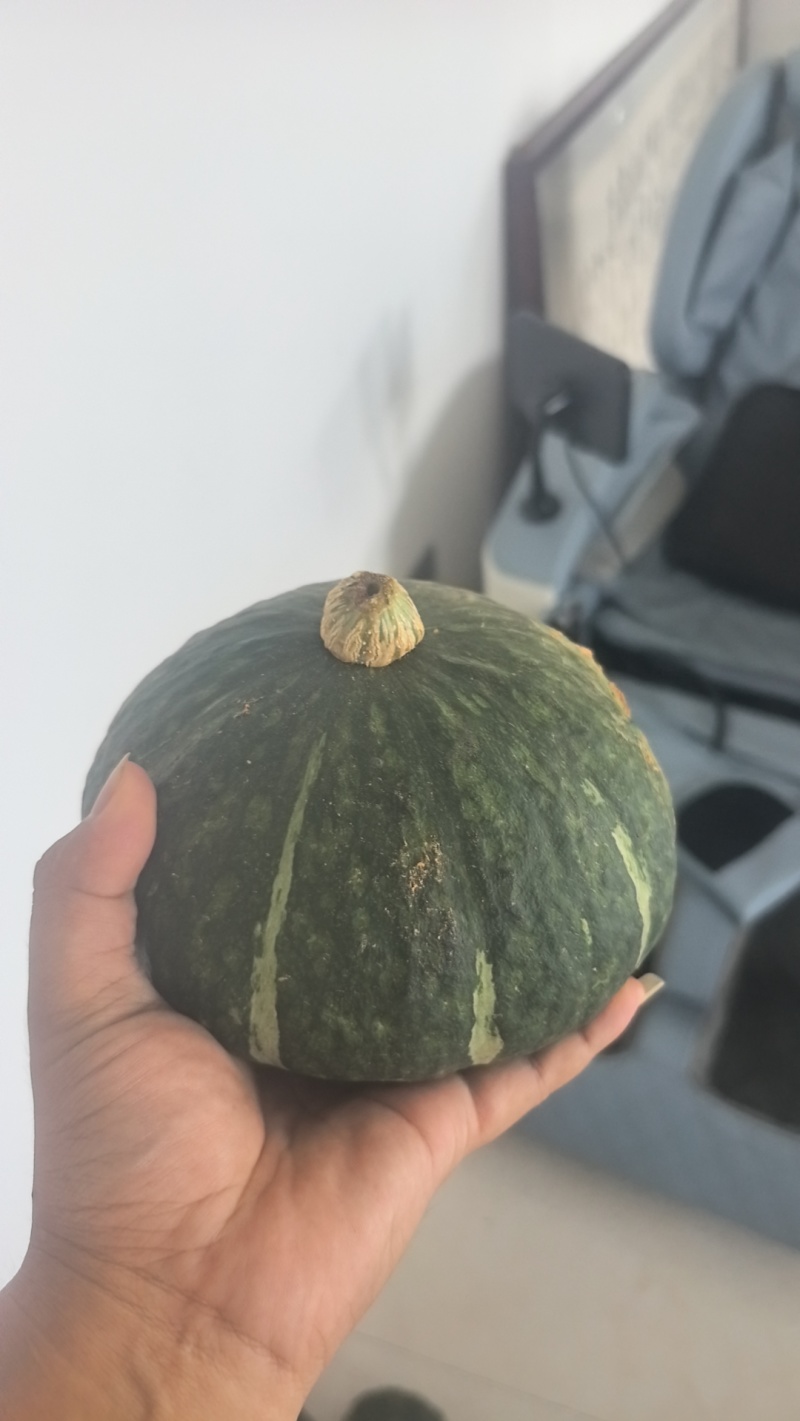 江西贝贝南瓜包粉包甜