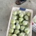 明月苹果60mm以上光果基地一手货源