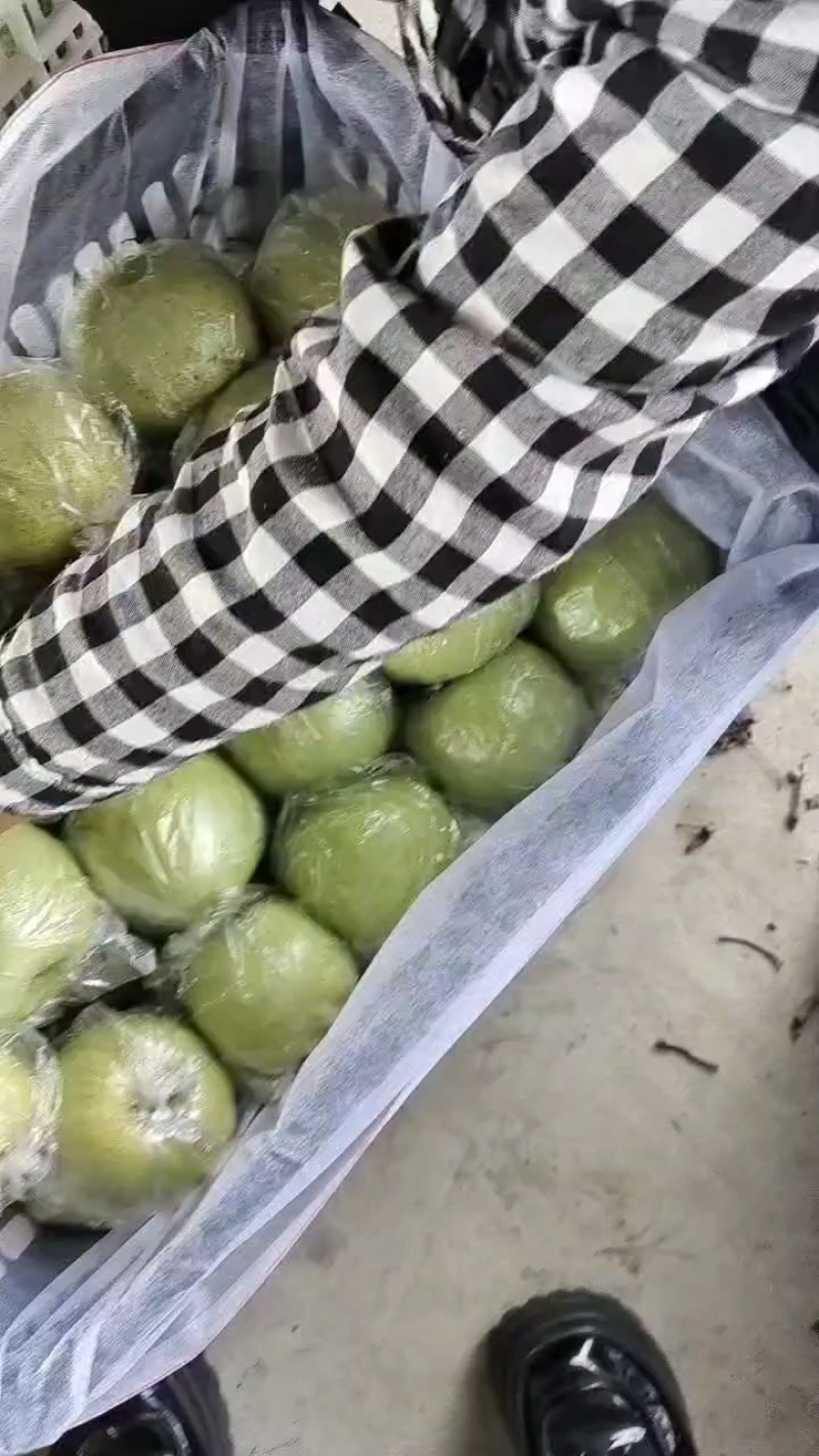 明月苹果60mm以上光果基地一手货源