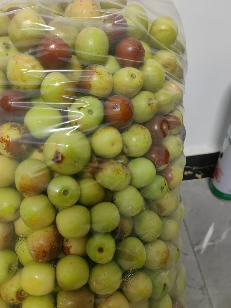 沾化早脆王鲜枣枣脆王现摘现发全国发货保质保量