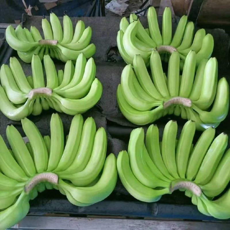 香蕉