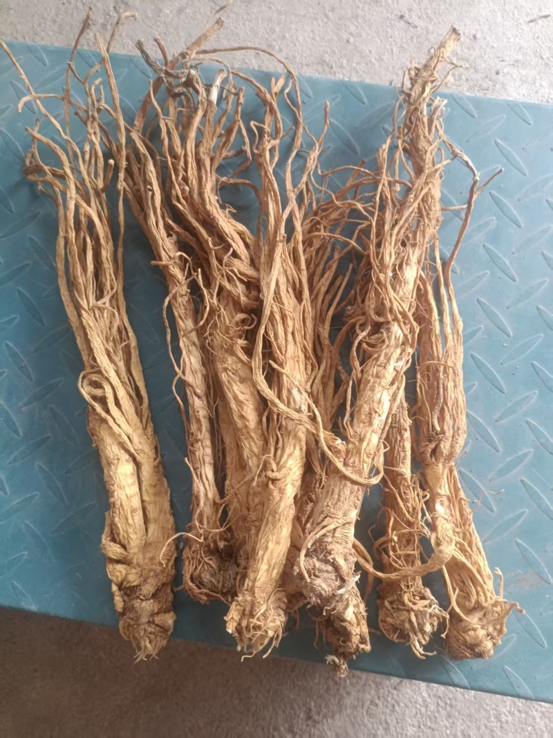 甘肃产地直销独活产地直发，物美价廉