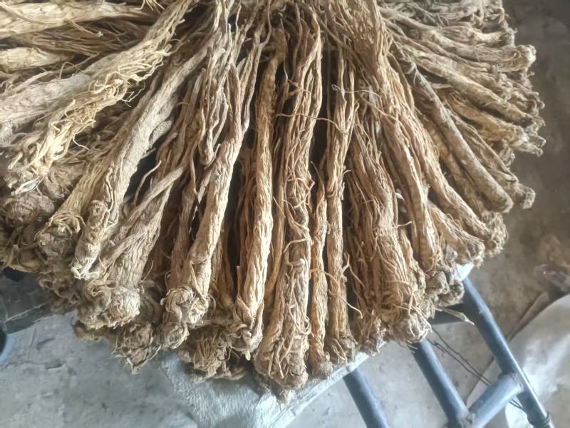 甘肃产地直销独活产地直发，物美价廉