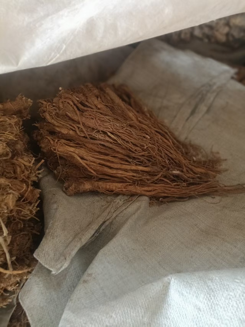 甘肃产地直销独活产地直发，物美价廉