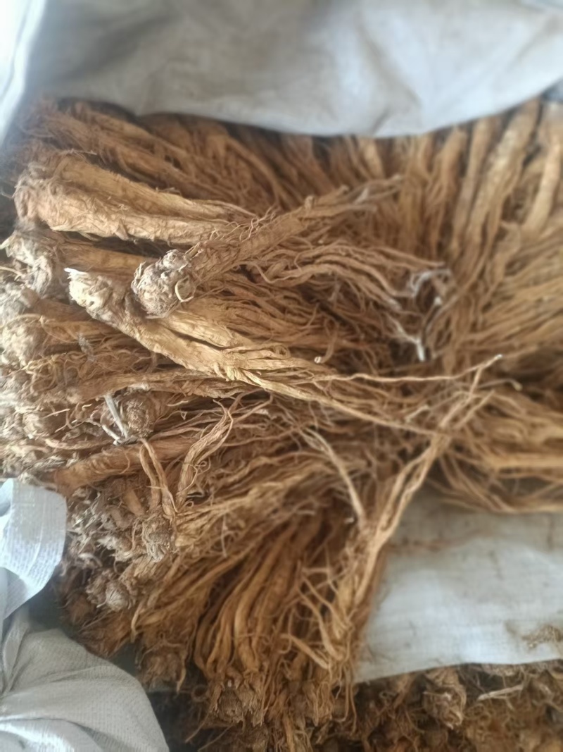 甘肃产地直销独活产地直发，物美价廉
