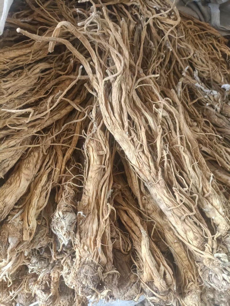 甘肃产地直销独活产地直发，物美价廉