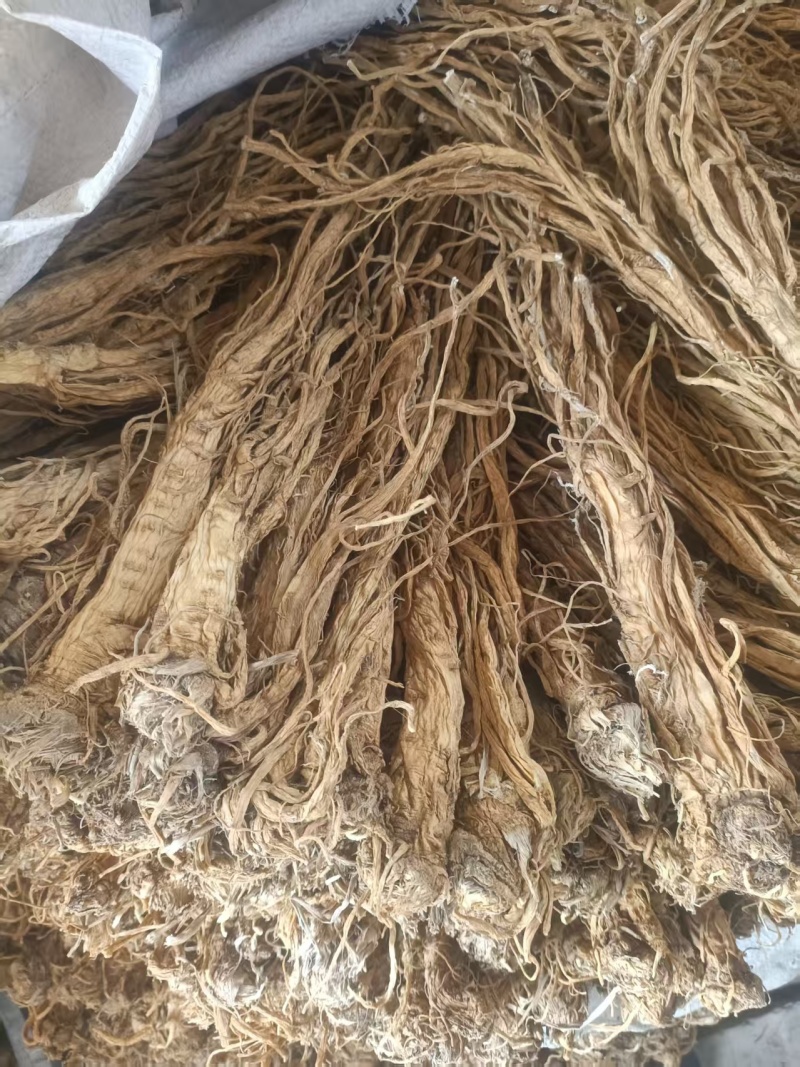 甘肃产地直销独活产地直发，物美价廉