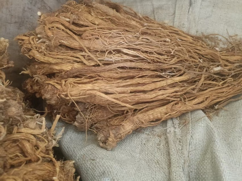 甘肃产地直销独活产地直发，物美价廉