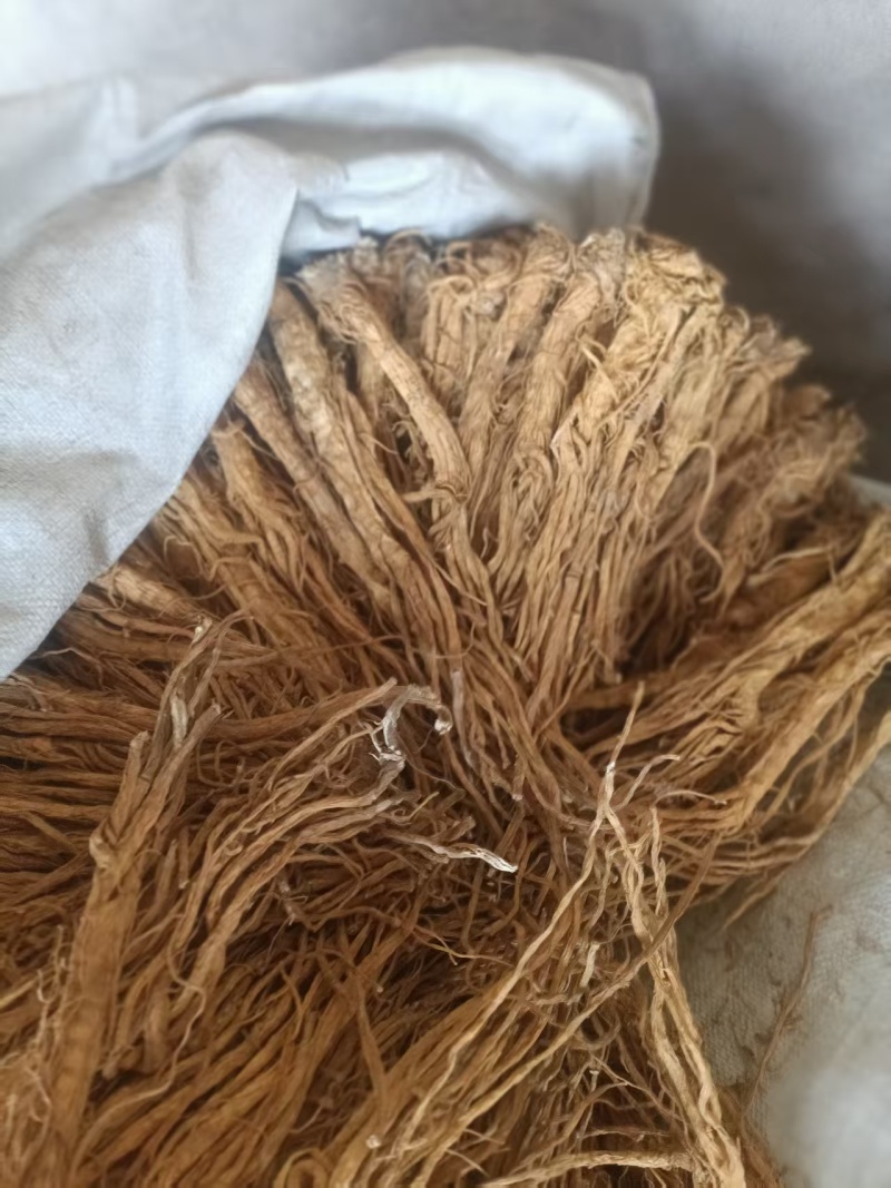甘肃产地直销独活产地直发，物美价廉