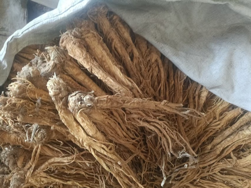 甘肃产地直销独活产地直发，物美价廉