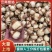 精品茨菇大量上货，品质好价格低规格全，可视频看货代发全国