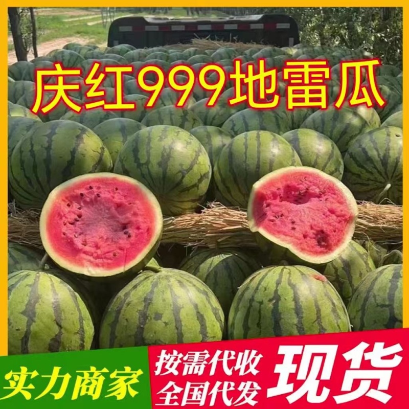 吉林陆地直根地雷瓜大量上市，价格便宜，甜度13个糖，代办