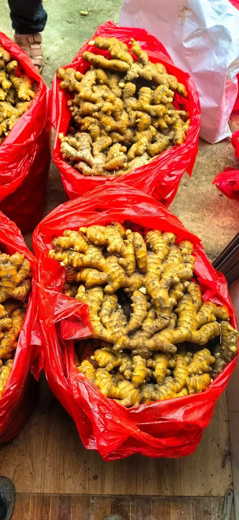 小黄姜大量出售，产地直销，货源充足，量大从优，价格优惠合
