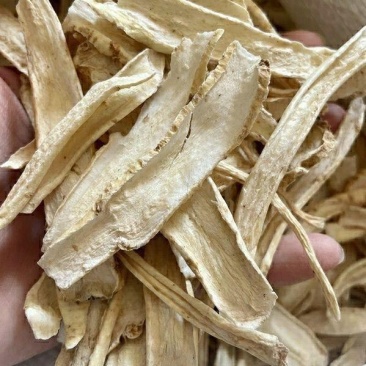 优选桔梗鲜货干货斜片各种规格产地直发量大从优