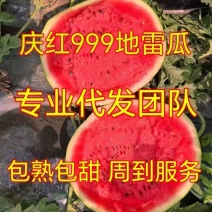 吉林地雷瓜大量上市，价格便宜，质量好，保你13个糖以上