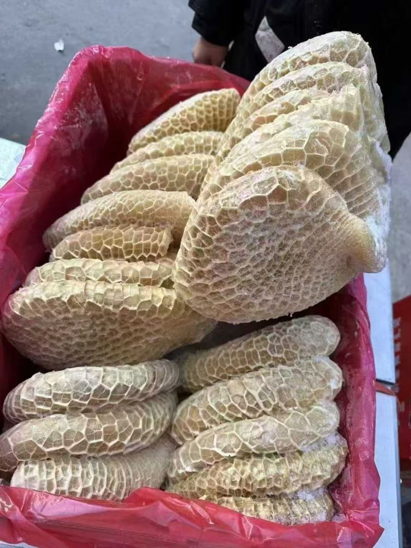金肚