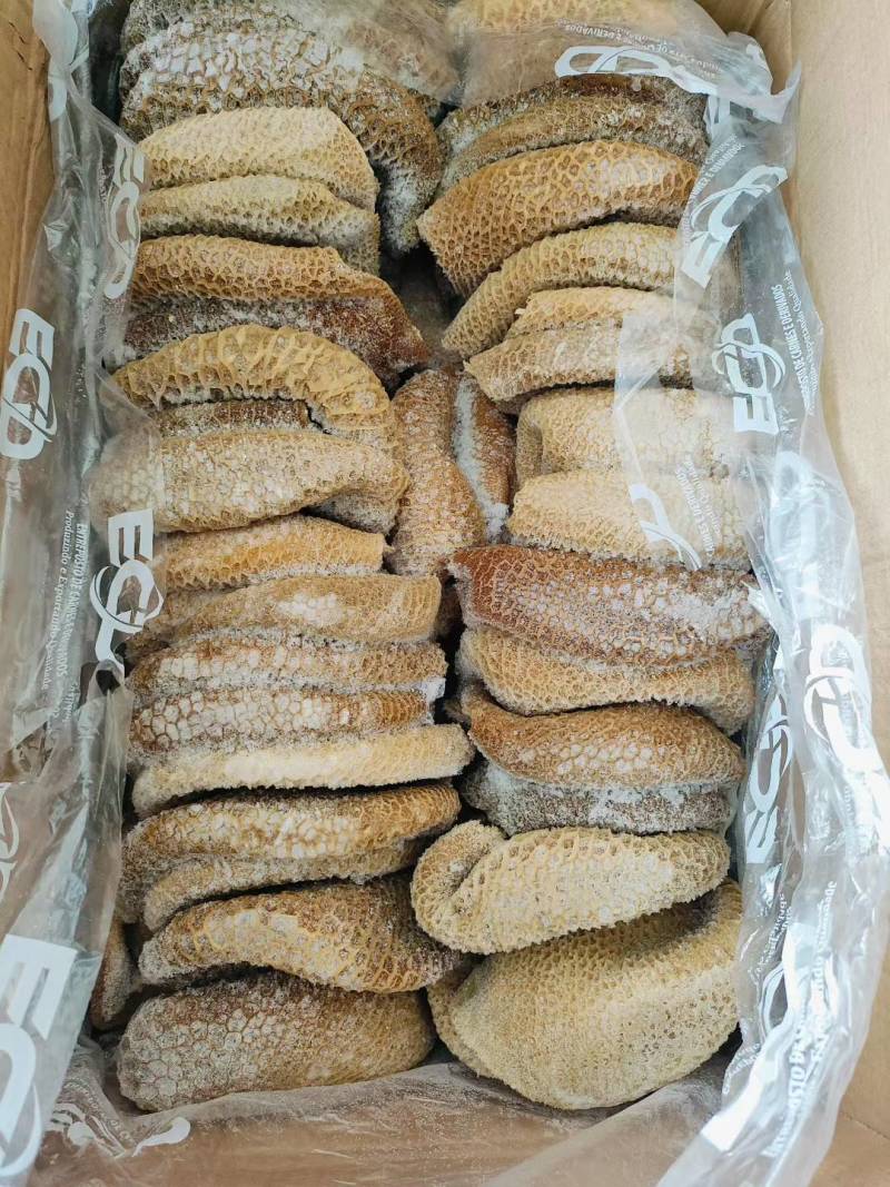 金肚