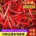 商丘产区小米椒大量供应全国代发支持各种包装