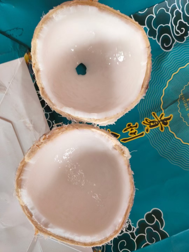 海南精品椰子