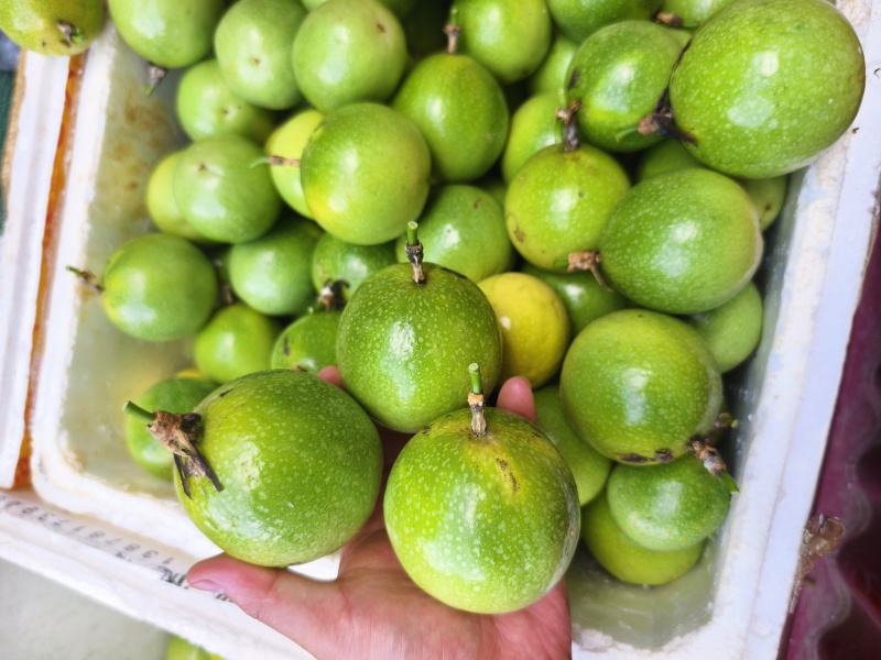 钦蜜9号黄金百香果