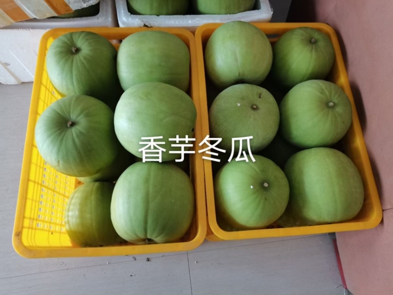 香芋冬瓜，香芋味的冬瓜