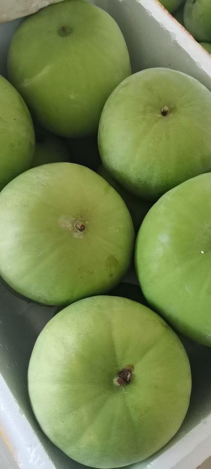 香芋冬瓜，香芋味的冬瓜