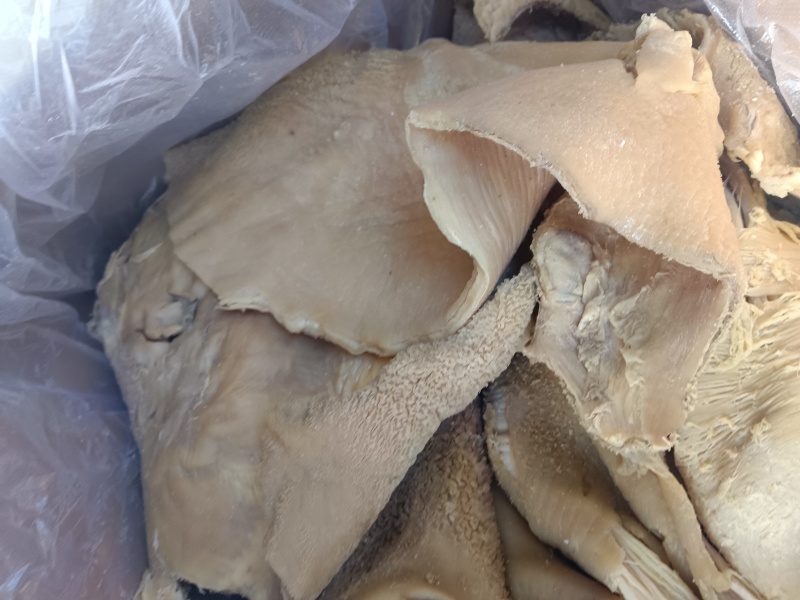 牛蹄，切块牛蹄