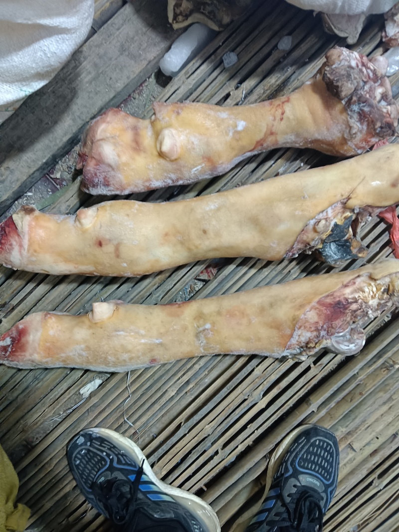 牛蹄，切块牛蹄
