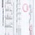 金枕榴莲一手货源批发价格