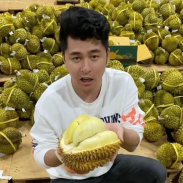 金枕榴莲一手货源批发价格