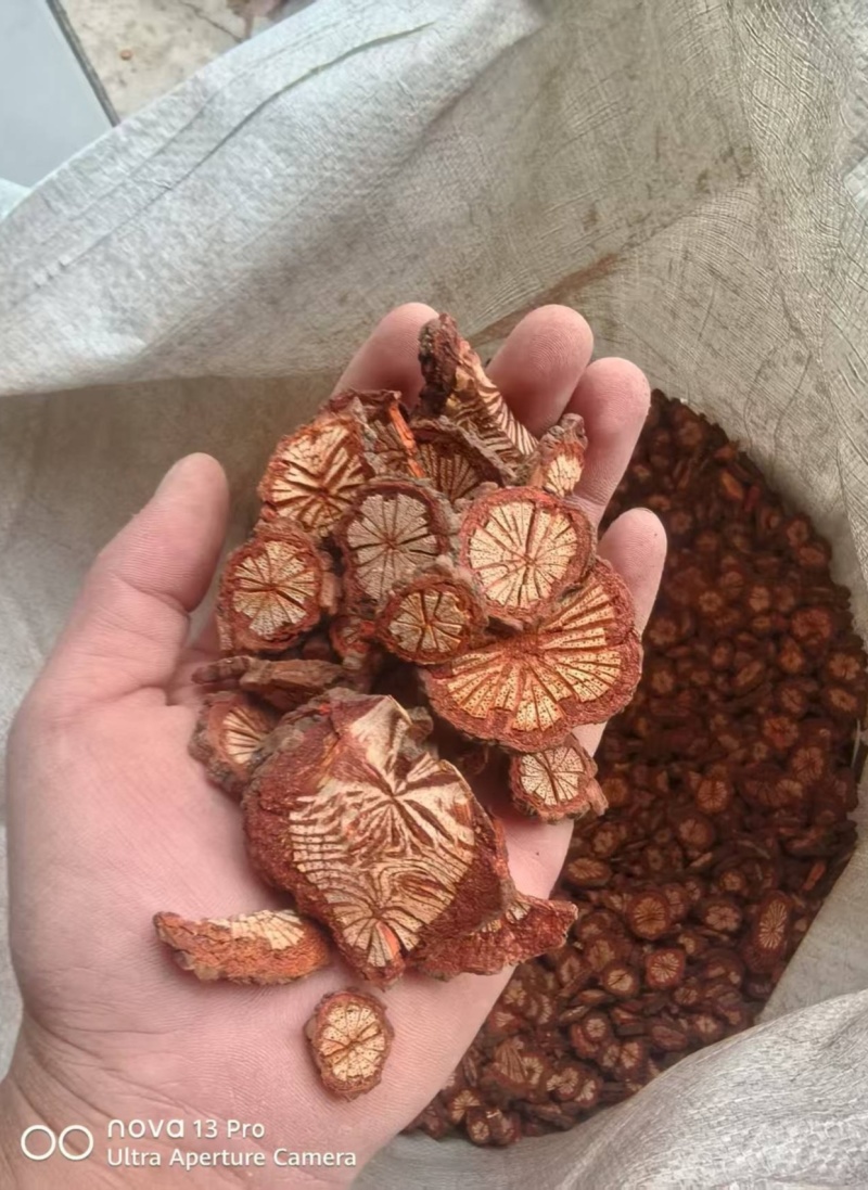 大血藤片，血藤片又叫红藤子片，纯野生中药材，干净无霉无杂