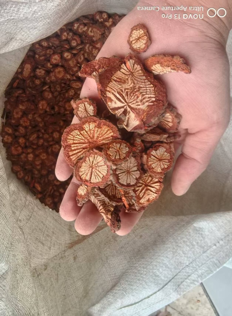 大血藤片，血藤片又叫红藤子片，纯野生中药材，干净无霉无杂