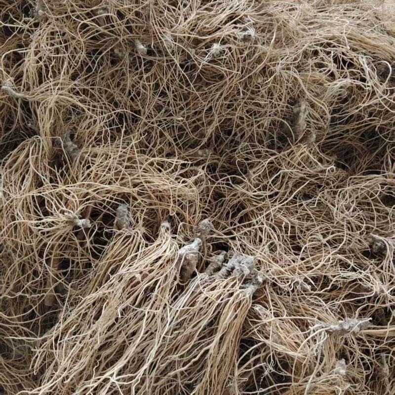 地胆头地胆草广西100%野生鲜货干货都有现货通货量大从优