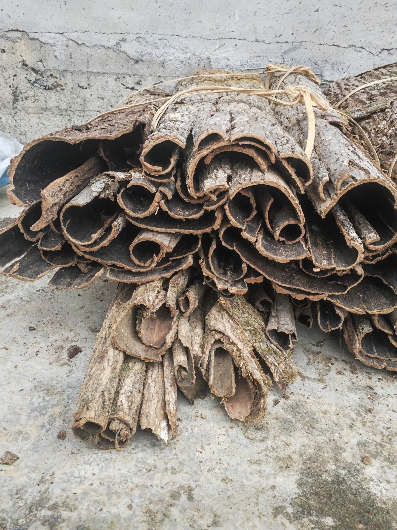 杜仲，杜仲丁（1厘米X1厘米是去粗壳），干度好无霉无杂