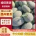 西州蜜瓜民勤哈密瓜产地一手货源，规格齐全，个大味甜发全国