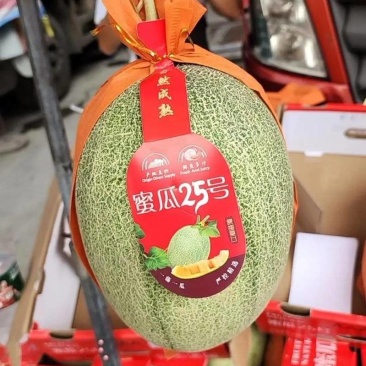 晓蜜25号民勤沙漠蜜瓜甜若初恋一手货源质量三包按需发货