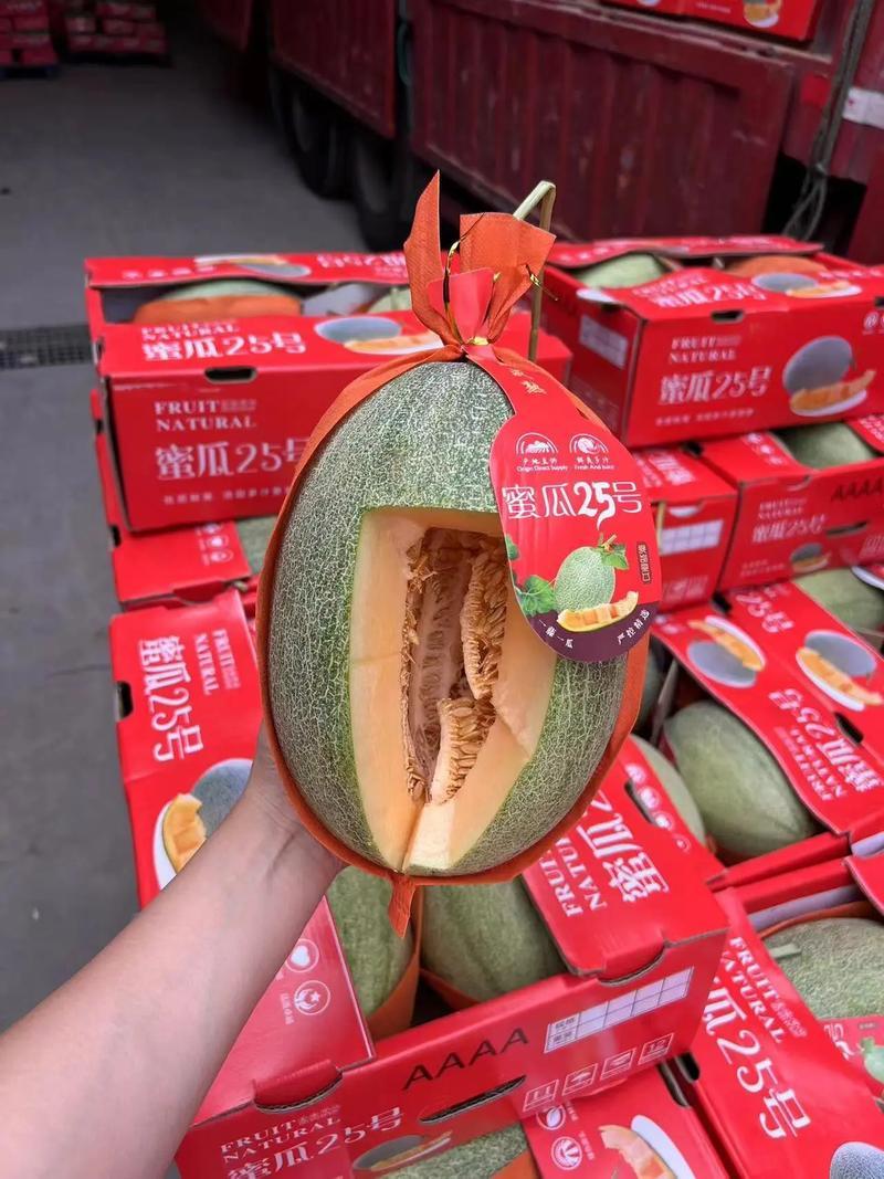 晓蜜25号民勤沙漠蜜瓜甜若初恋一手货源质量三包按需发货