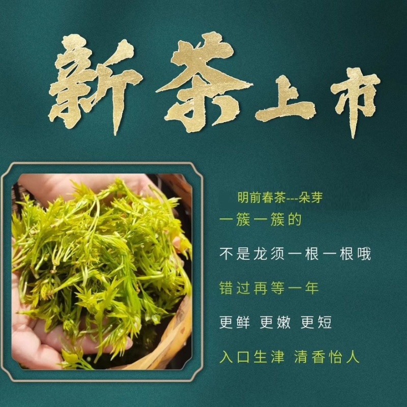恩施来凤藤茶对接商超电商新茶自己喝送礼送长辈