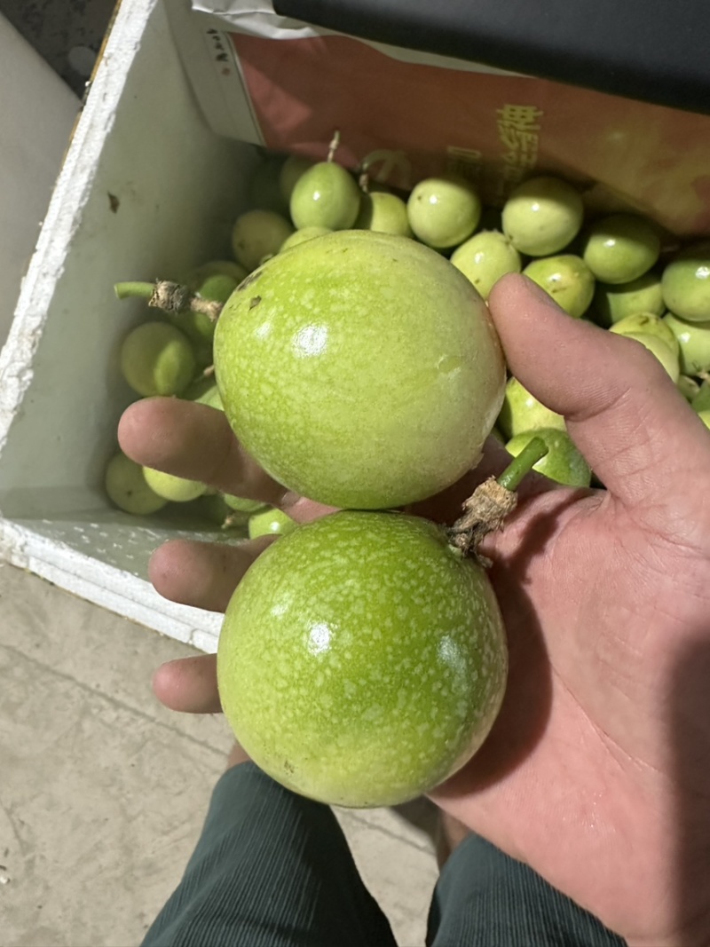 百香果大量上市了，需要对接的找我手上资源多