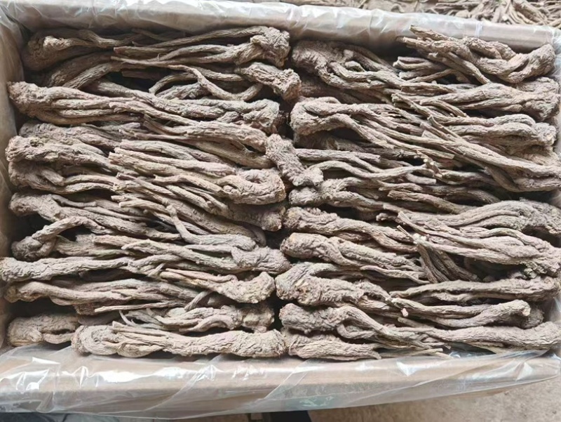 甘肃精品成品当归中药材新货现挖特级长货大量现货